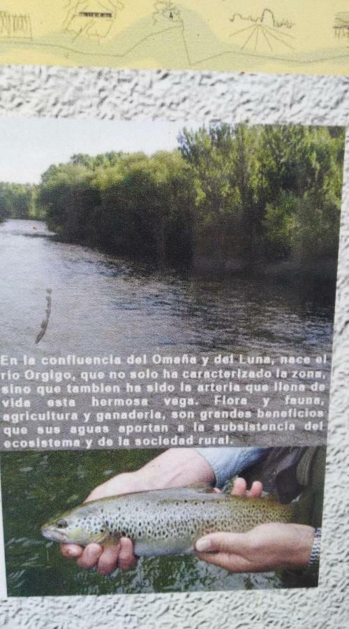 El Rinconcito De Llamas Llamas de la Ribera Esterno foto